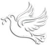 A White Dove ~ The Holy Spirit welcomes you!